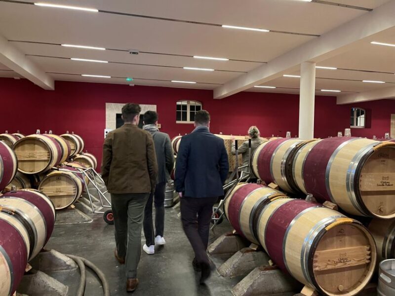 Bordeaux: Medoc tour in a small group (Luxury Mercedes EQV) - The Sum Up