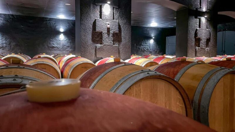 Bordeaux: Saint-Emilion and Medoc Full-Day Wine Experience - The Médoc on the Left Bank