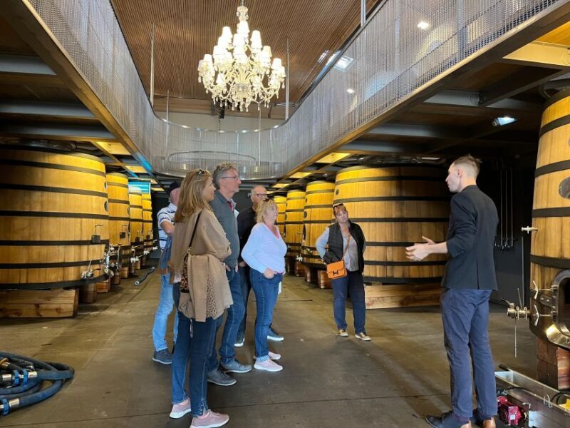 Bordeaux: Saint-Émilion wine tour in a small group - A Day in the Life of a Saint-Émilion Wine Tour