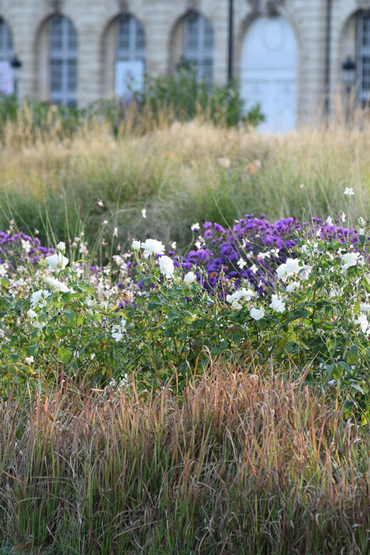 Bordeaux : see the whole city by bike - FAQ