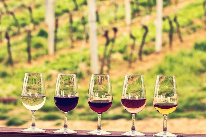 Bordeaux Shore Excursion: Private Bordeaux and St-Emilion Tour - What to Expect from the Tour