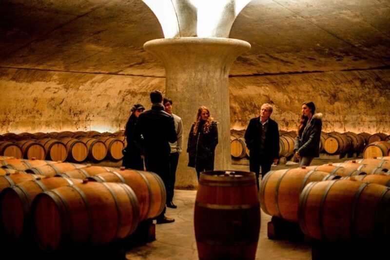 Bordeaux: St-Emilion and Medoc Wine Day Tour with Lunch - An Introduction to Bordeauxs Wine Day Tour