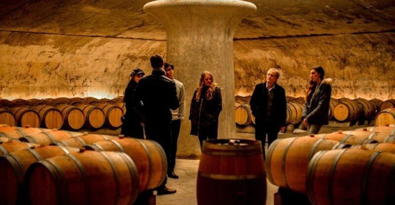 Bordeaux: St-Emilion and Medoc Wine Day Tour with Lunch - The Experience: From Scenic Views to Tasting Glasses