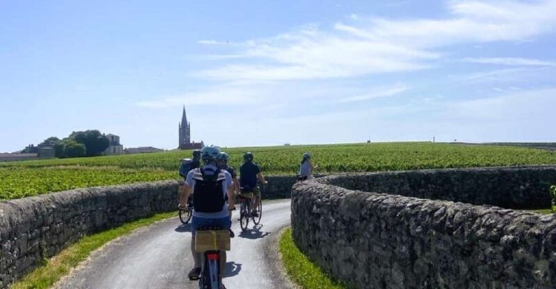 Bordeaux: St-Emilion Vineyards e-Bike Tour with Wine & Lunch - Key Points