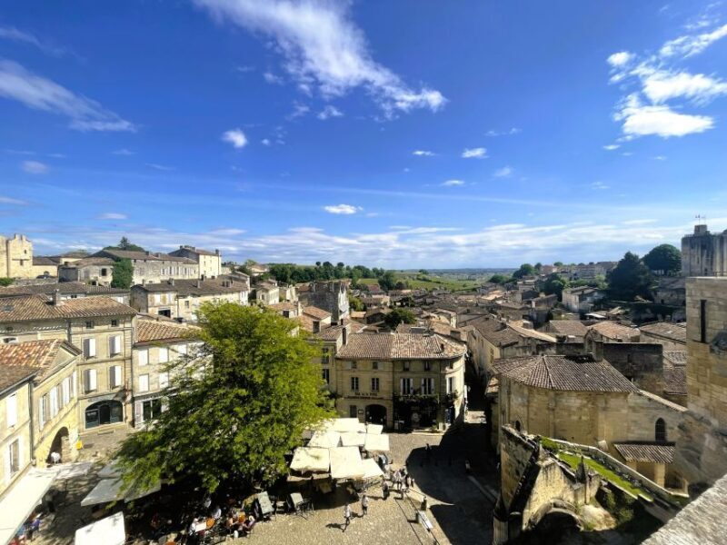 Bordeaux: St-Emilion Vineyards e-Bike Tour with Wine & Lunch - An In-Depth Look at the Tour Experience