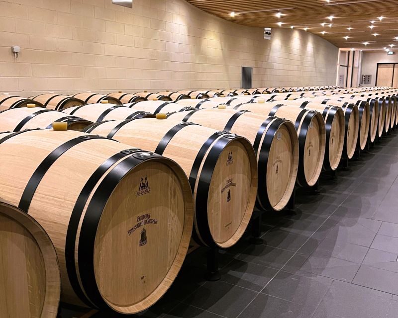 Bordeaux: St-Emilion Vineyards e-Bike Tour with Wine & Lunch - Who Will Love This Tour?