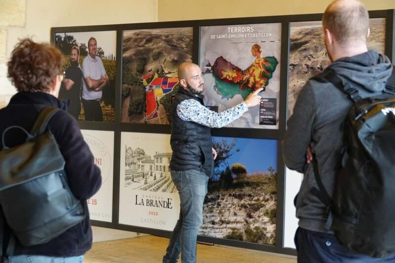 Bordeaux: St. Emilion Wine and E-Bike Tour with Lunch - An In-Depth Look at the Bordeaux: St. Emilion E-Bike and Wine Tour