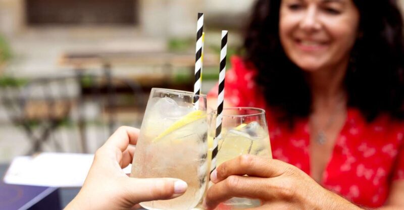 Bordeaux: Tasting Tour in the Wine District - The Sum Up