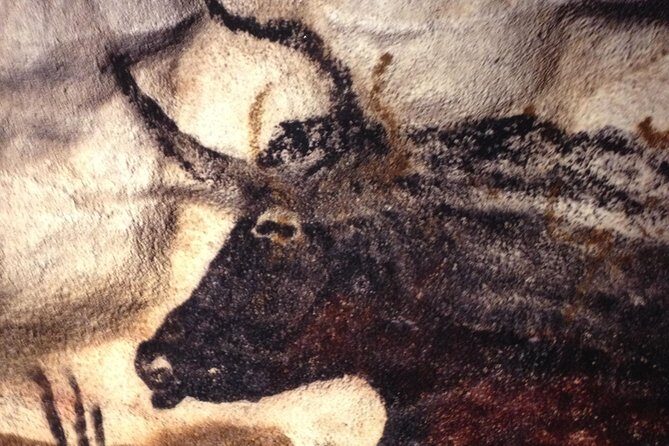 Bordeaux to Lascaux and Dordogne Valley Private Sightseeing Tour - The Itinerary: What to Expect