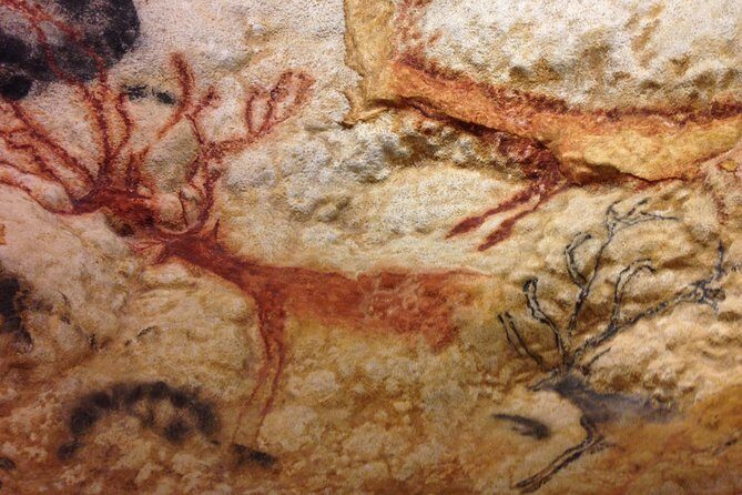 Bordeaux to Lascaux and Dordogne Valley Private Sightseeing Tour - Who Should Consider This Tour?