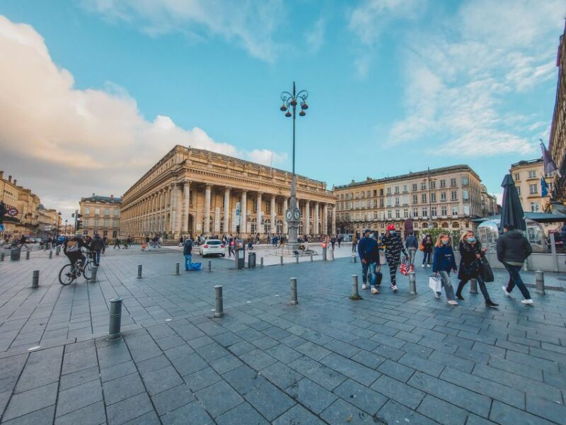 Bordeaux: Tour with Private Guide - Introduction: Why This Tour Stands Out