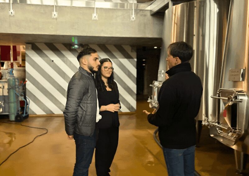 Bordeaux : Unforgettable Saint Emilion Half Day Wine Tour - Who Will Love This Tour?