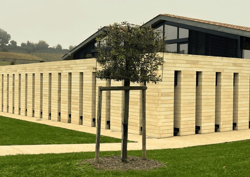 Bordeaux : Unforgettable Saint Emilion Half Day Wine Tour - The Sum Up