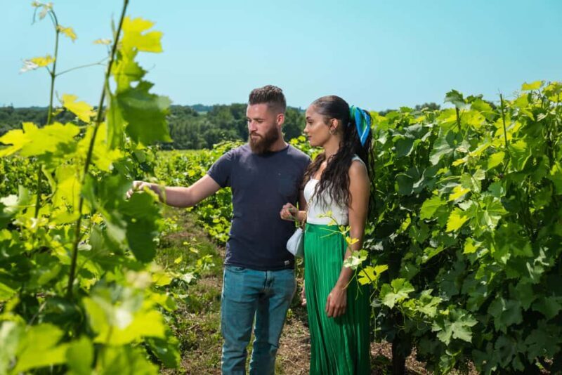 Bordeaux: Visit to Château de Reignac and prestige tasting - The Highlight: The Tasting Tower