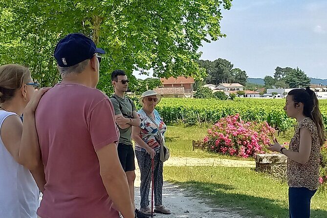 Bordeaux wine tour: 2 wineries (red & white wine) - The Value and Practicalities