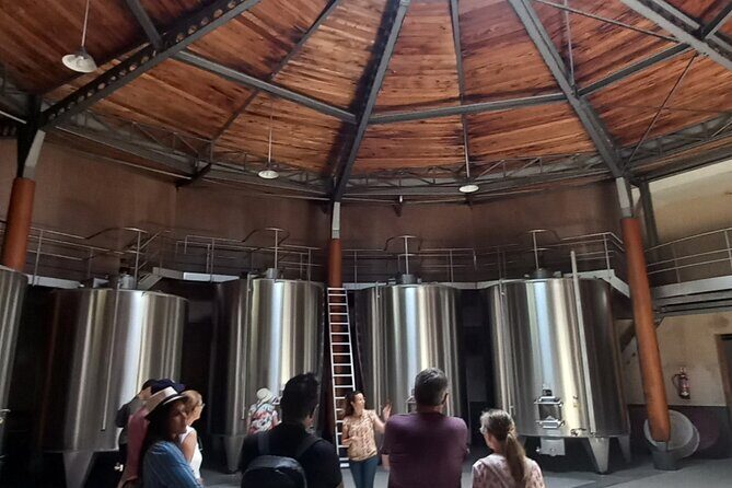 Bordeaux wine tour: 2 wineries (red & white wine) - Final Thoughts