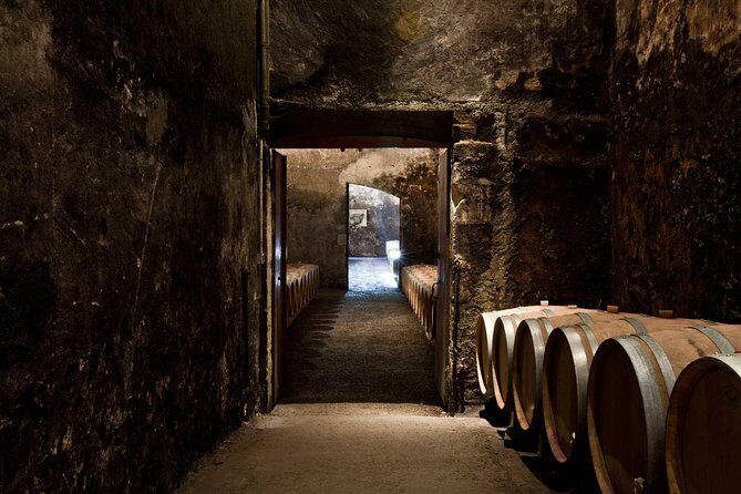 Bordeaux: Wine Tour and Tasting - A Deep Dive into the Bordeaux Wine Tour and Tasting Experience
