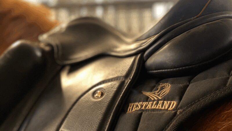 Borgarnes: Horseback Riding Tour with Prep Lesson - Key Points