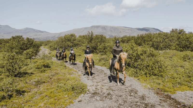 Borgarnes: Horseback Riding Tour with Prep Lesson - What to Expect from the Horseback Riding Tour