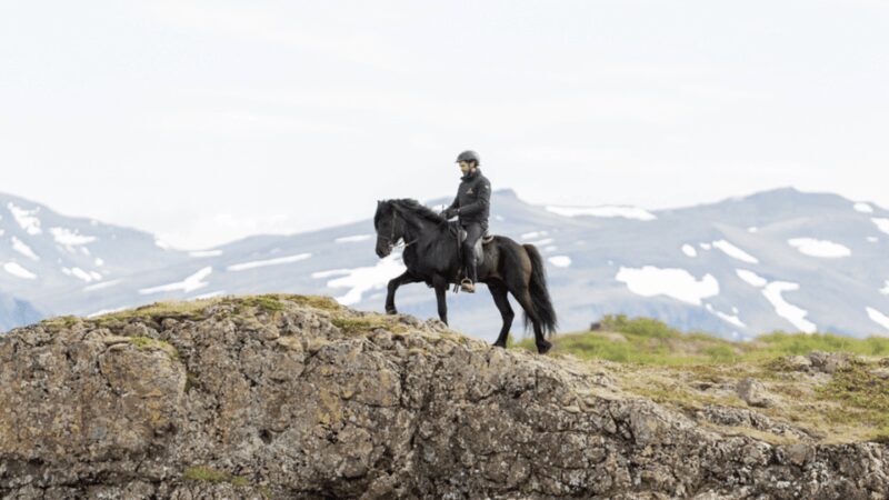 Borgarnes: Horseback Riding Tour with Prep Lesson - The Sum Up