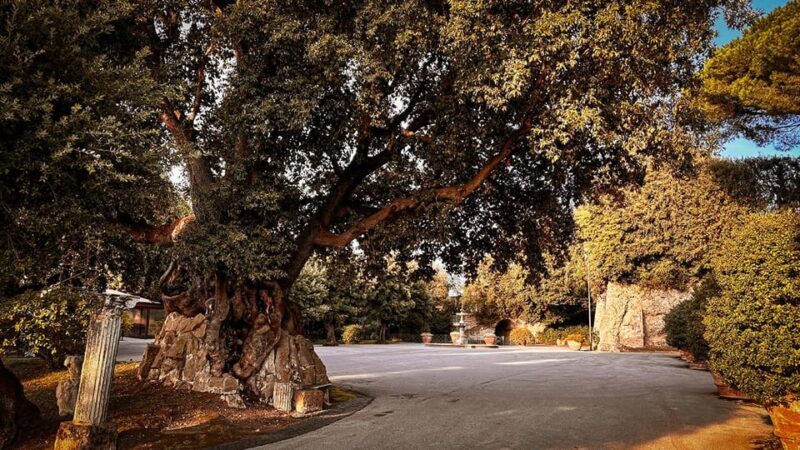 Borgo Laudato Si' - Gardens of Villa Barberini - Key Points