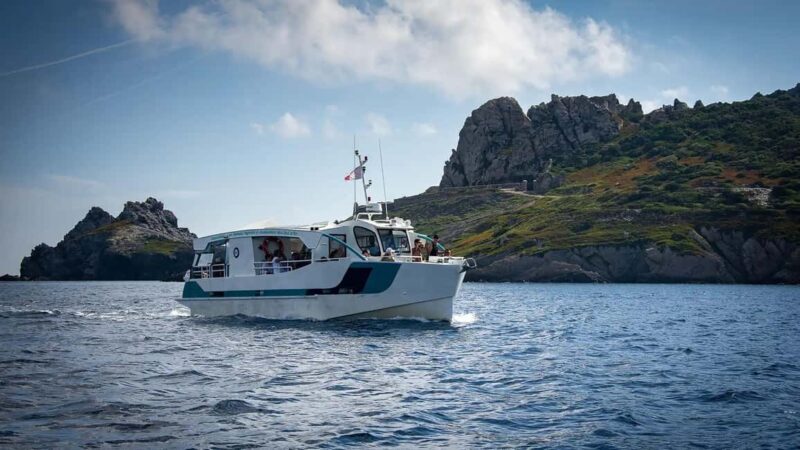 Bormes-les-Mimosas: Hybrid boat trip to Porquerolles Island - An In-Depth Look at the Experience