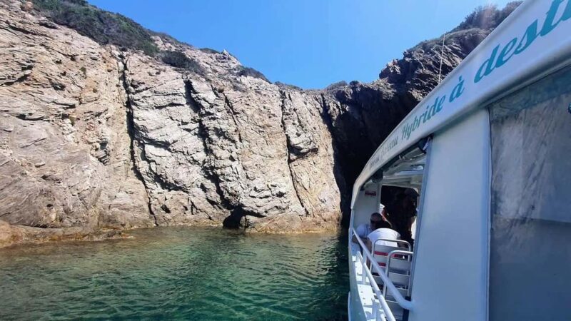 Bormes-les-Mimosas: Sea trip in the heart of Port-Cros National Park - Who This Tour Is Best For