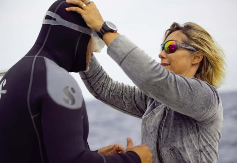 Bormes-les-Mimosas: snorkeling trip - Key Points