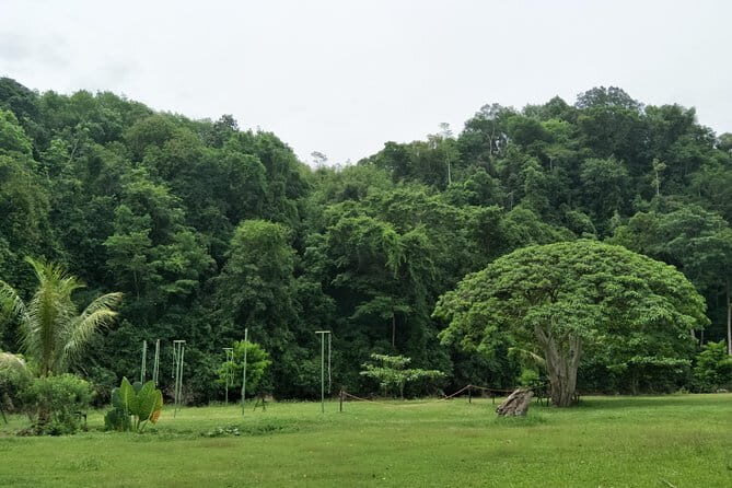 Borneo Combo Adventure - Key Points