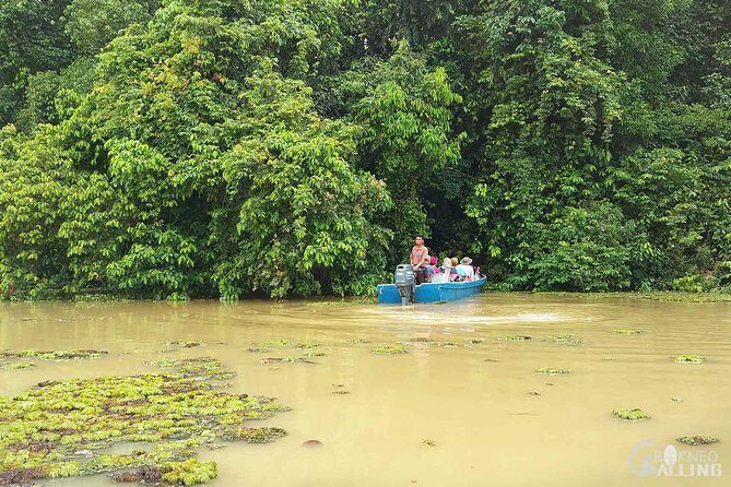 Borneo Kinabatangan River Cruise Day Trip - Frequently Asked Questions
