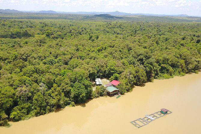 Borneo Wildlife Tour 2 Days 1 Night At Tanjung Bulat Jungle Camp Kinabatangan - Final Thoughts