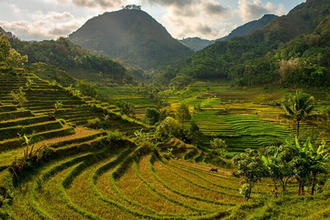 Borobudur Climb Up and Selogriyo Temple Rice Terraces Trekking - Who Is This Tour Best For?