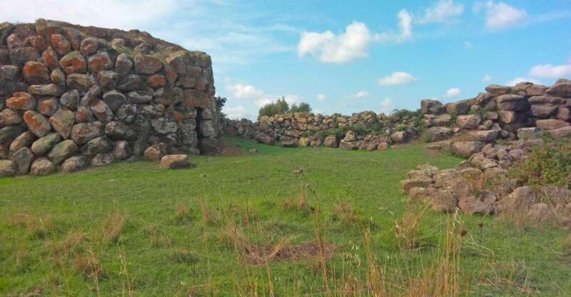 Borore: archaeological tour with tasting - The Tasting Experience