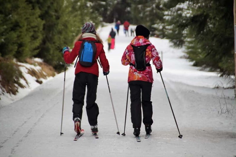 Borovets: 2-Hour Cross Country Ski Taster with Instructor - Who Will Love This Experience?