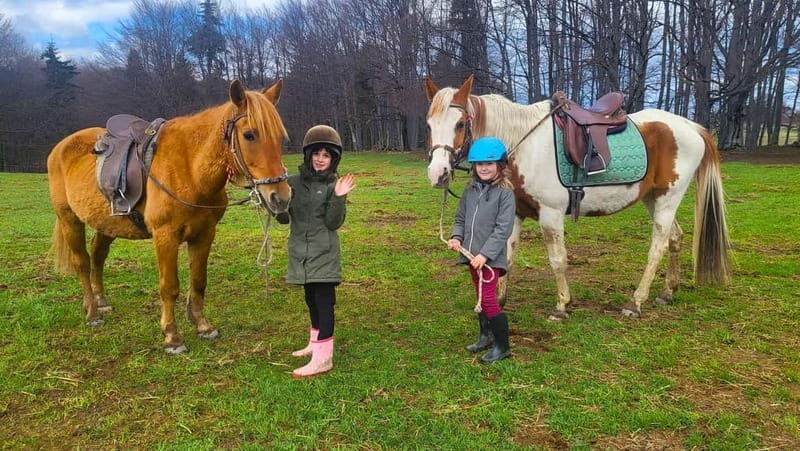 Borovets: Horse Riding Experience - The Experience at a Glance