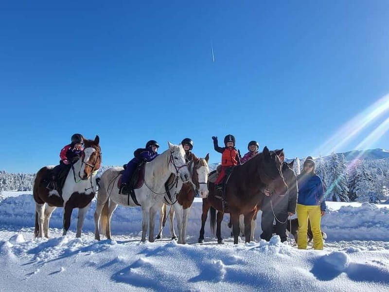 Borovets: Horse Riding Experience - Who Will Love This Tour?