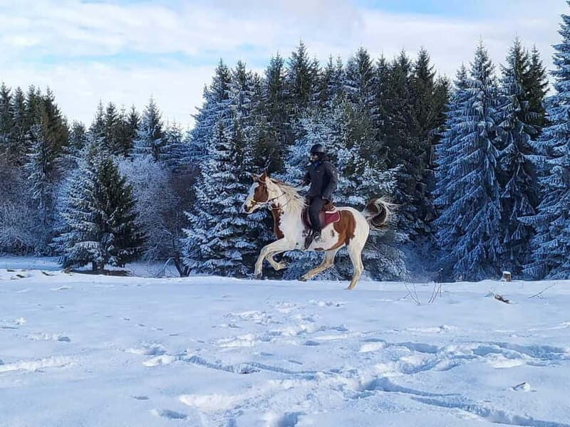 Borovets: Horse Riding Experience - Frequently Asked Questions