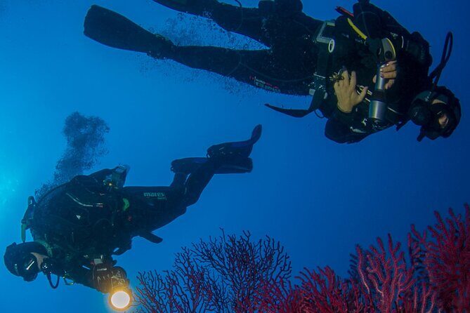 Bosa Diving Baptism - Exploring the Details: What to Expect During Your Bosa Diving Baptism