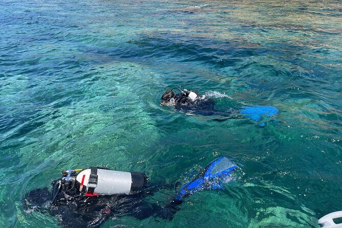 Bosa Diving Baptism - FAQ