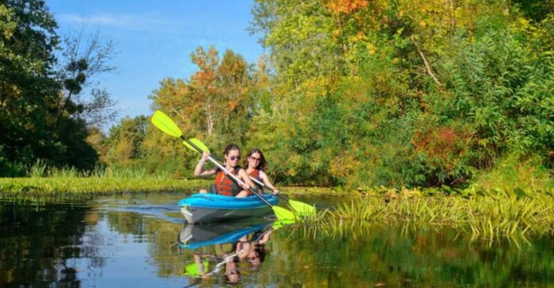 Bosa: Temo River Kayak Rental - Who Will Love This Experience?