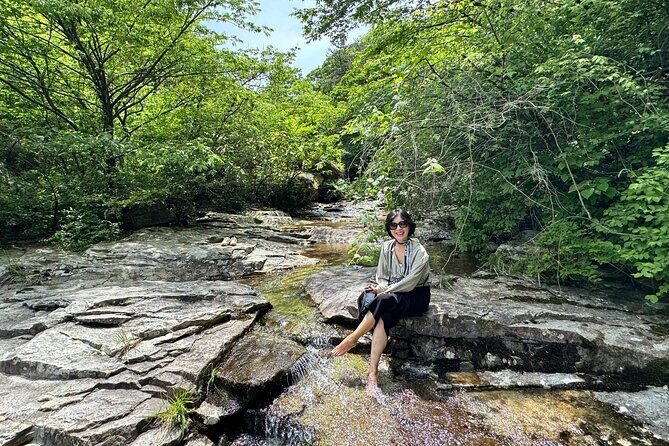 Boseong Tour : Green Tea Field, Mountain & Lake Trail (Private) - An In-Depth Review of Boseong’s Green Tea and Nature Trails