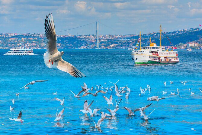 Bosphorus Boat Cruise & Two Continents Tour with Lunch - The Sum Up