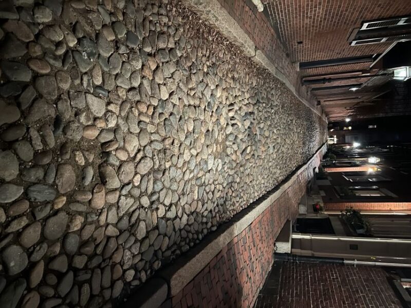 Boston: Beacon Hill True Crime Walking Tour - What Makes the Guides Special?