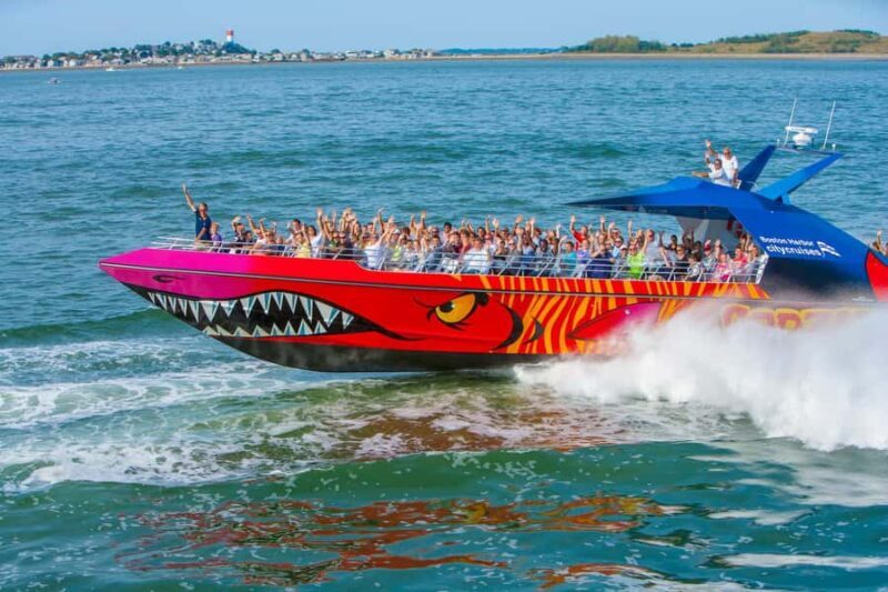 Boston: City Cruises Harbor Codzilla High Speed Thrill Boat - What to Expect During the Ride