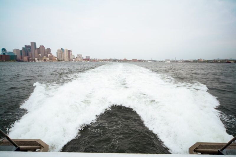 Boston: City Cruises Whale Watching Cruise - Key Points
