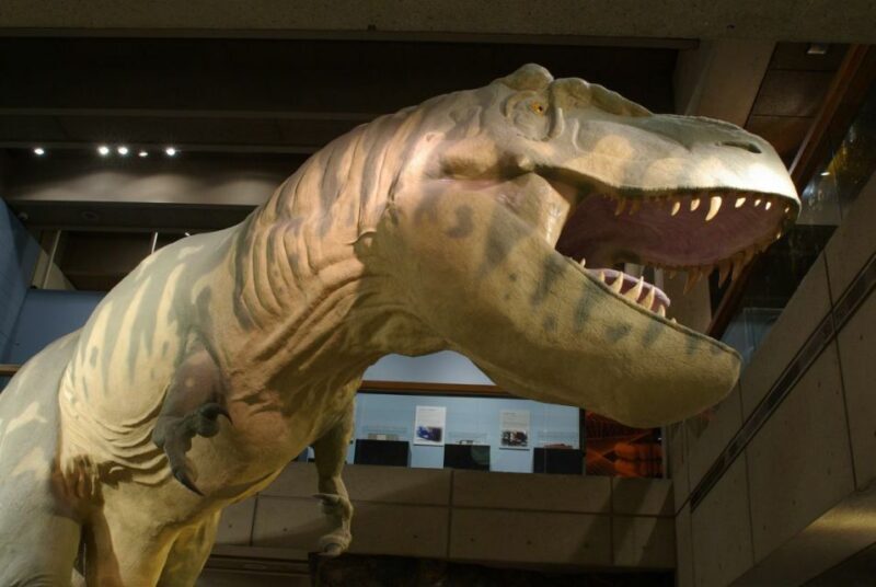 Boston CityPASS®: Save up to 46% at 4 Top Attractions - Practical Tips for Making the Most of Your Pass