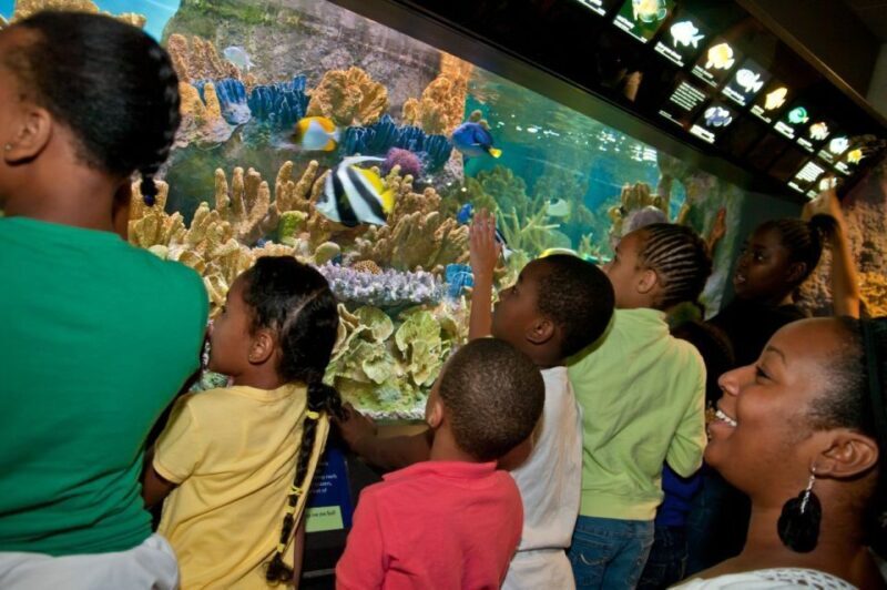 Boston CityPASS®: Save up to 46% at 4 Top Attractions - Final Thoughts