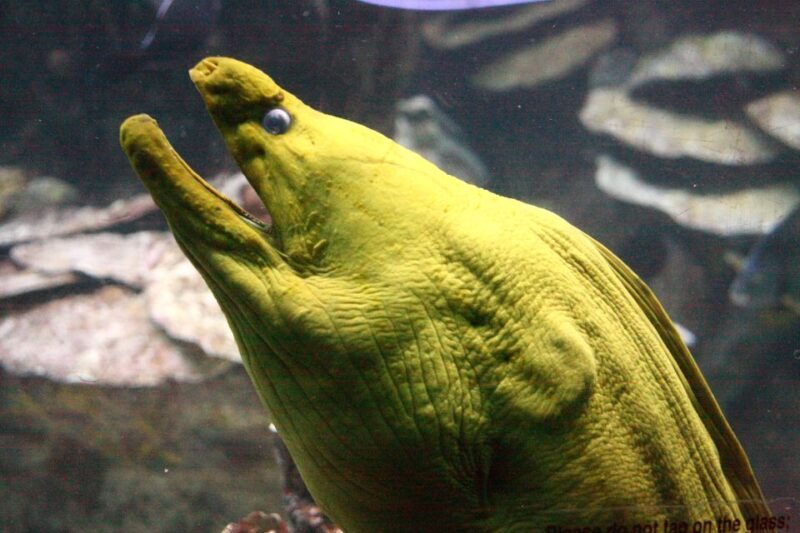 Boston CityPASS®: Save up to 46% at 4 Top Attractions - FAQ