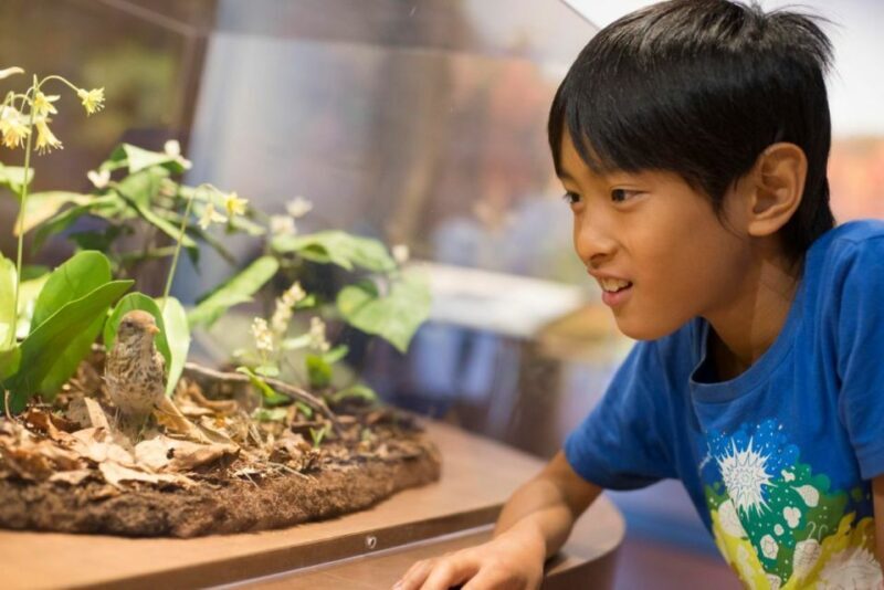 Boston CityPASS®: Save up to 46% at 4 Top Attractions - FAQs About the Boston CityPASS®