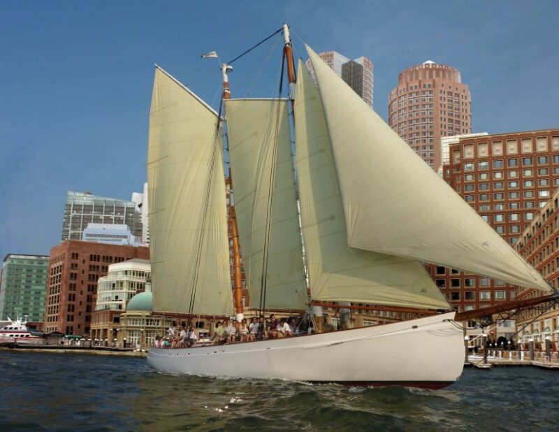 Boston: Downtown Harbor Sailing Cruise - Who Will Love This Cruise?